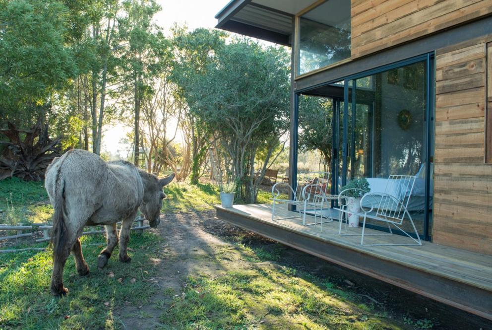Eco Lodge Villa Villekula The Crags Экстерьер фото